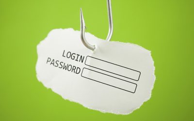 Le frodi in internet: Il phishing