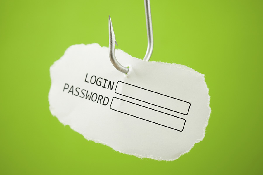 Le frodi in internet: Il phishing